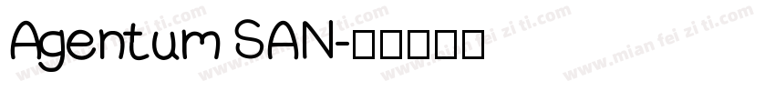 Agentum SAN字体转换